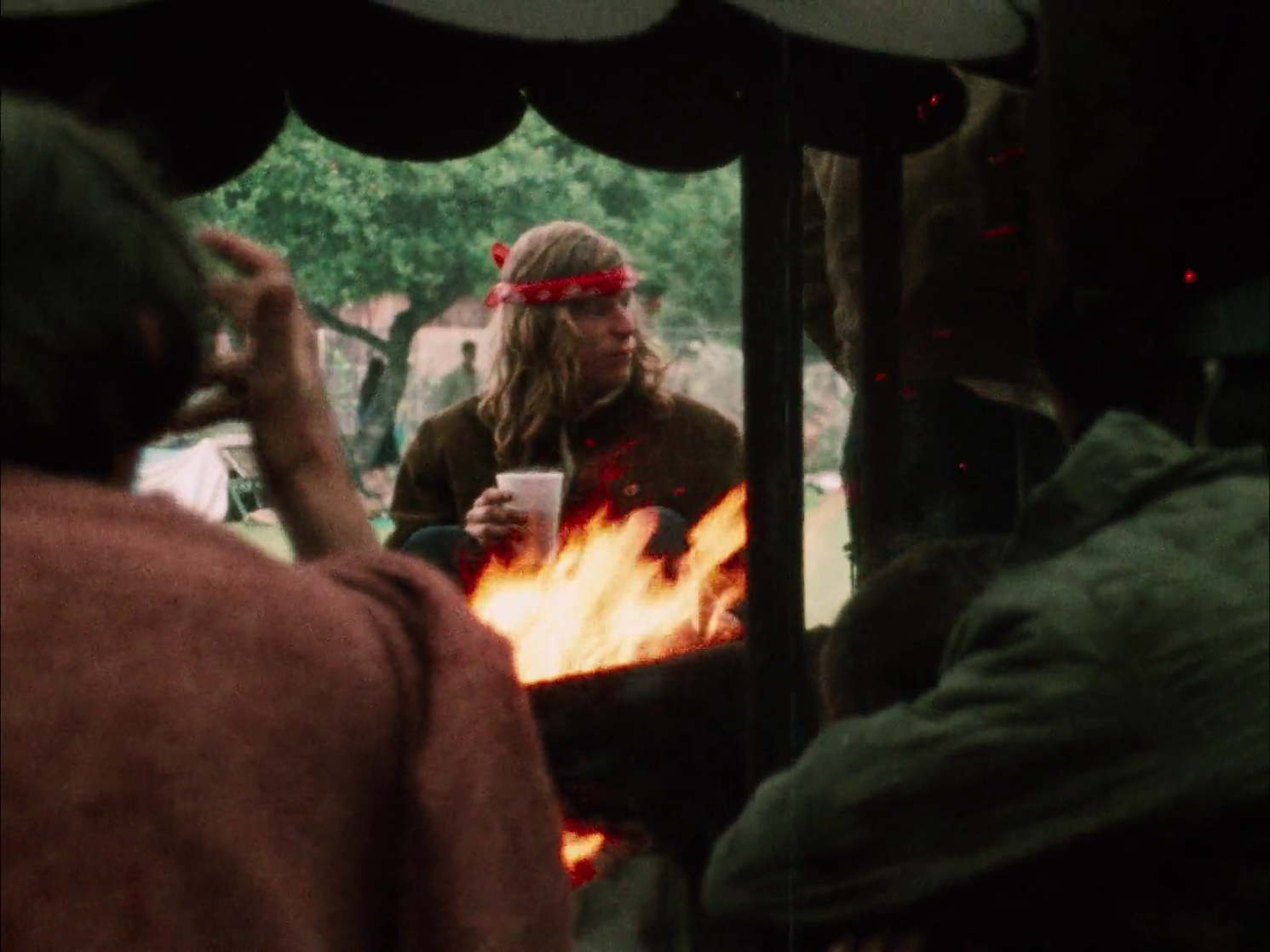 Monterey Pop (1969)