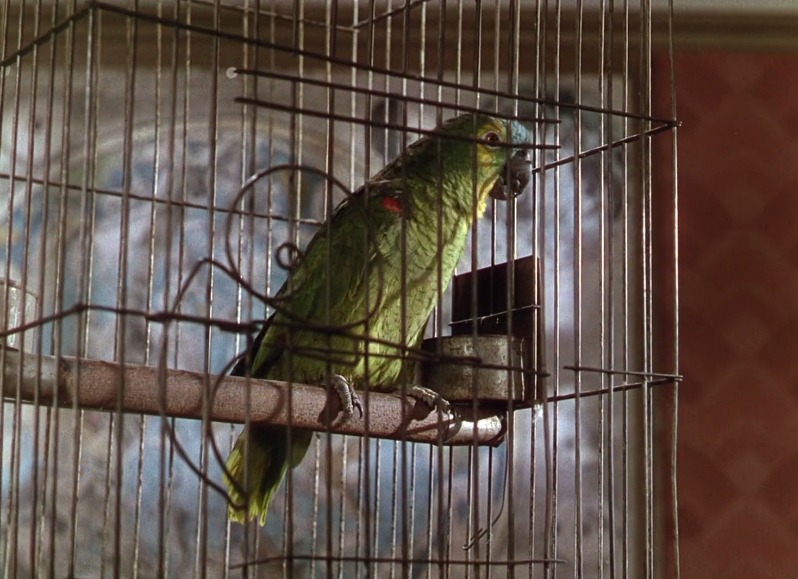 Blithe Spirit picture