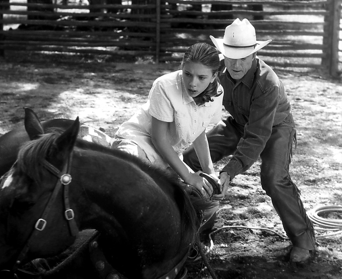 The Horse Whisperer