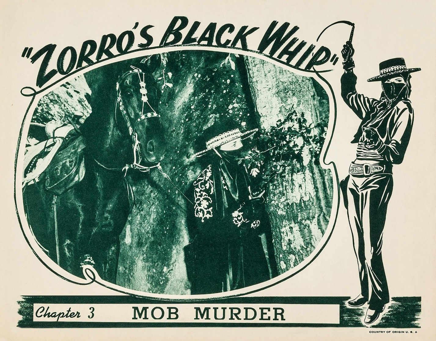 Picture of Zorro's Black Whip