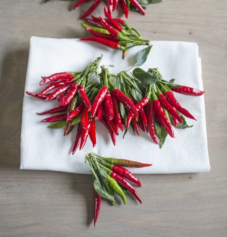 Thai Chile