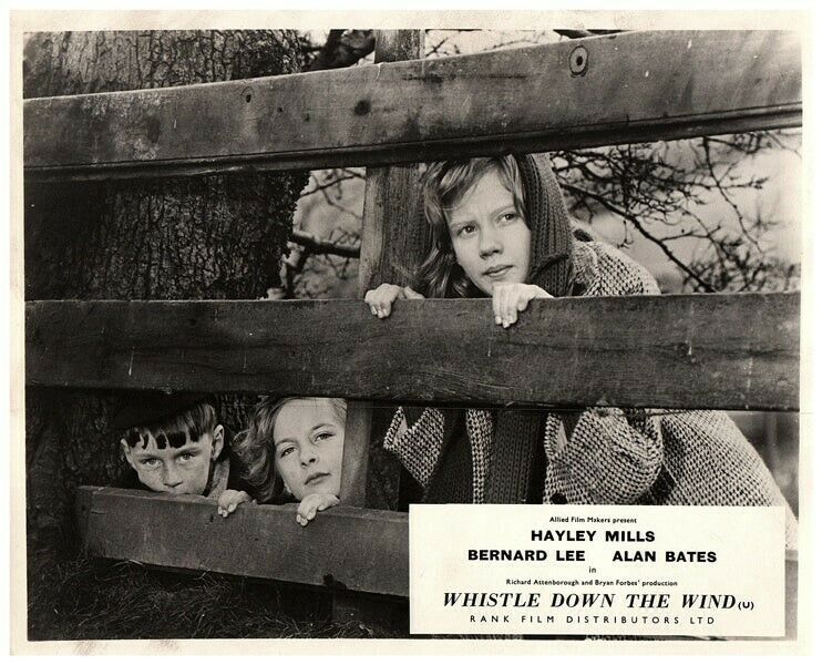 Whistle Down the Wind picture