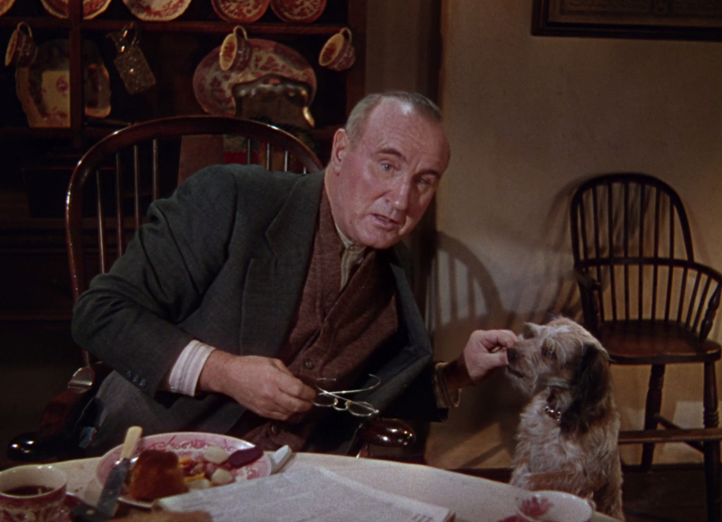 National Velvet National Velvet
