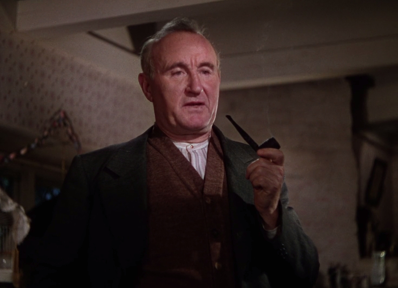 National Velvet National Velvet