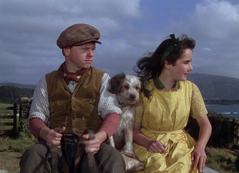 National Velvet National Velvet