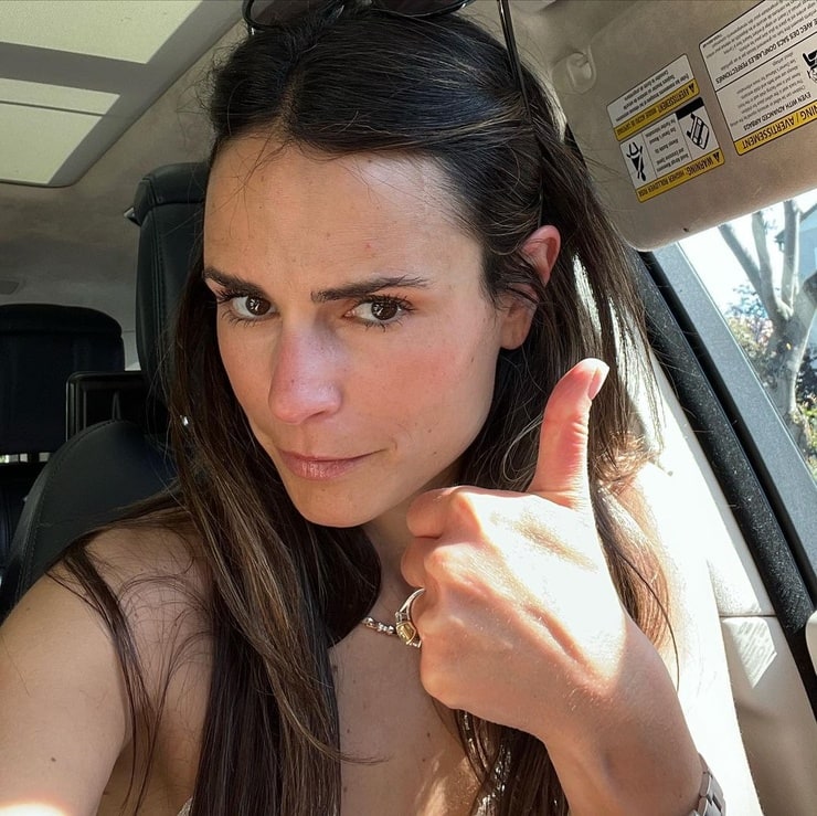 Jordana Brewster Picture