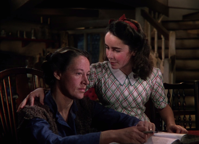 National Velvet National Velvet