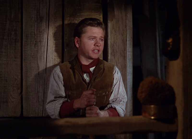 National Velvet
