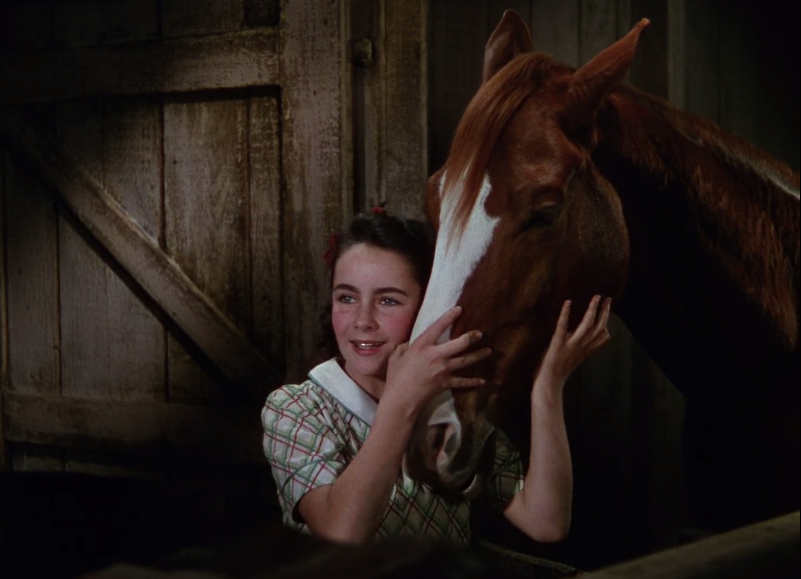 National Velvet National Velvet
