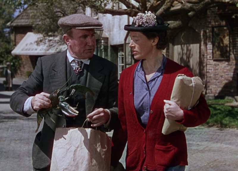 National Velvet National Velvet