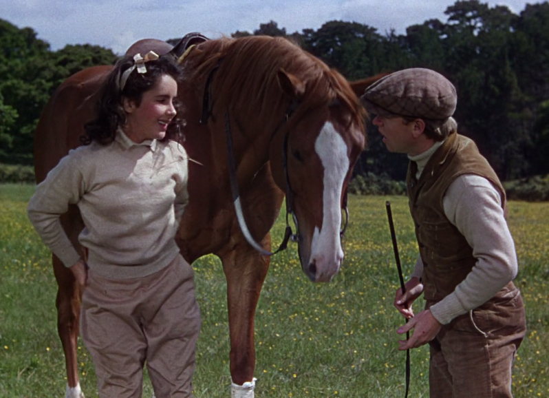 National Velvet National Velvet