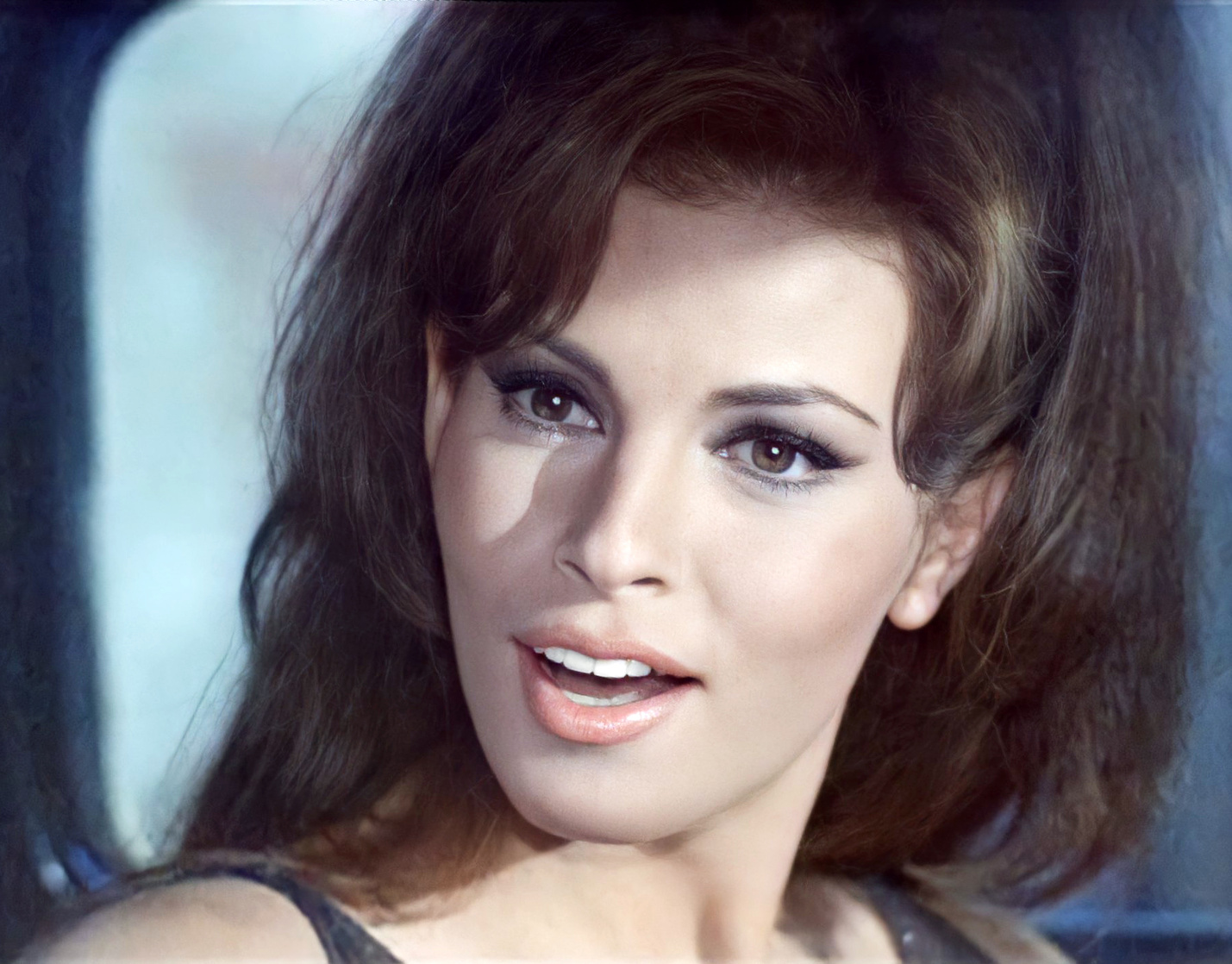 Raquel Welch Raquel Welch