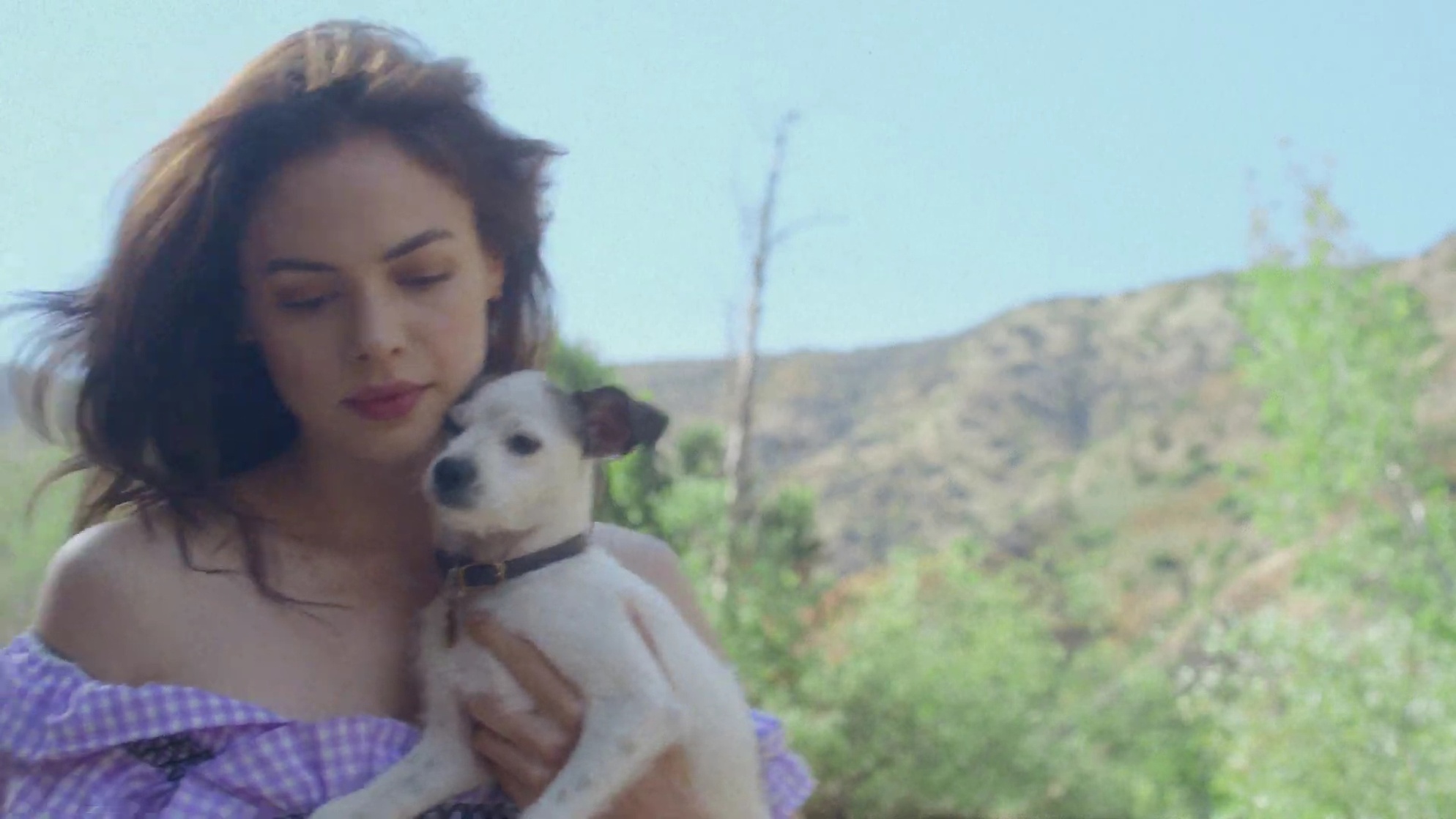 Conor Leslie Conor Leslie