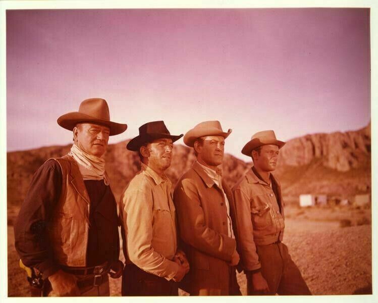 The Sons of Katie Elder