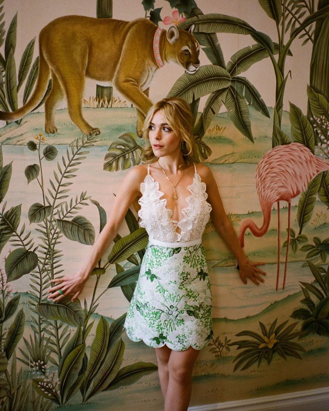 Kiernan Shipka picture