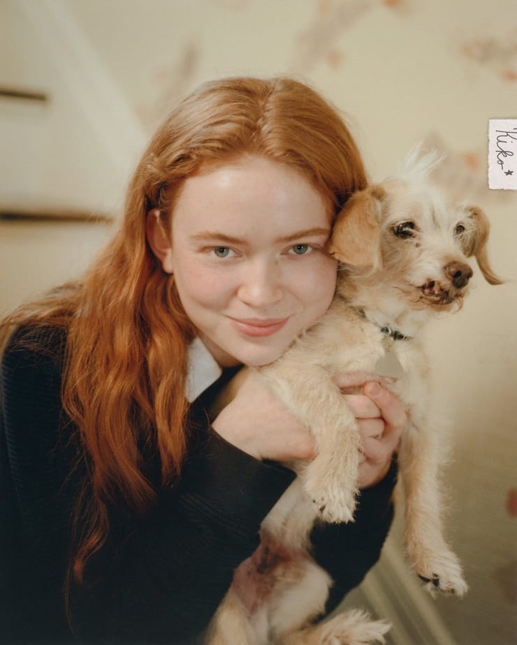 Picture of Sadie Sink