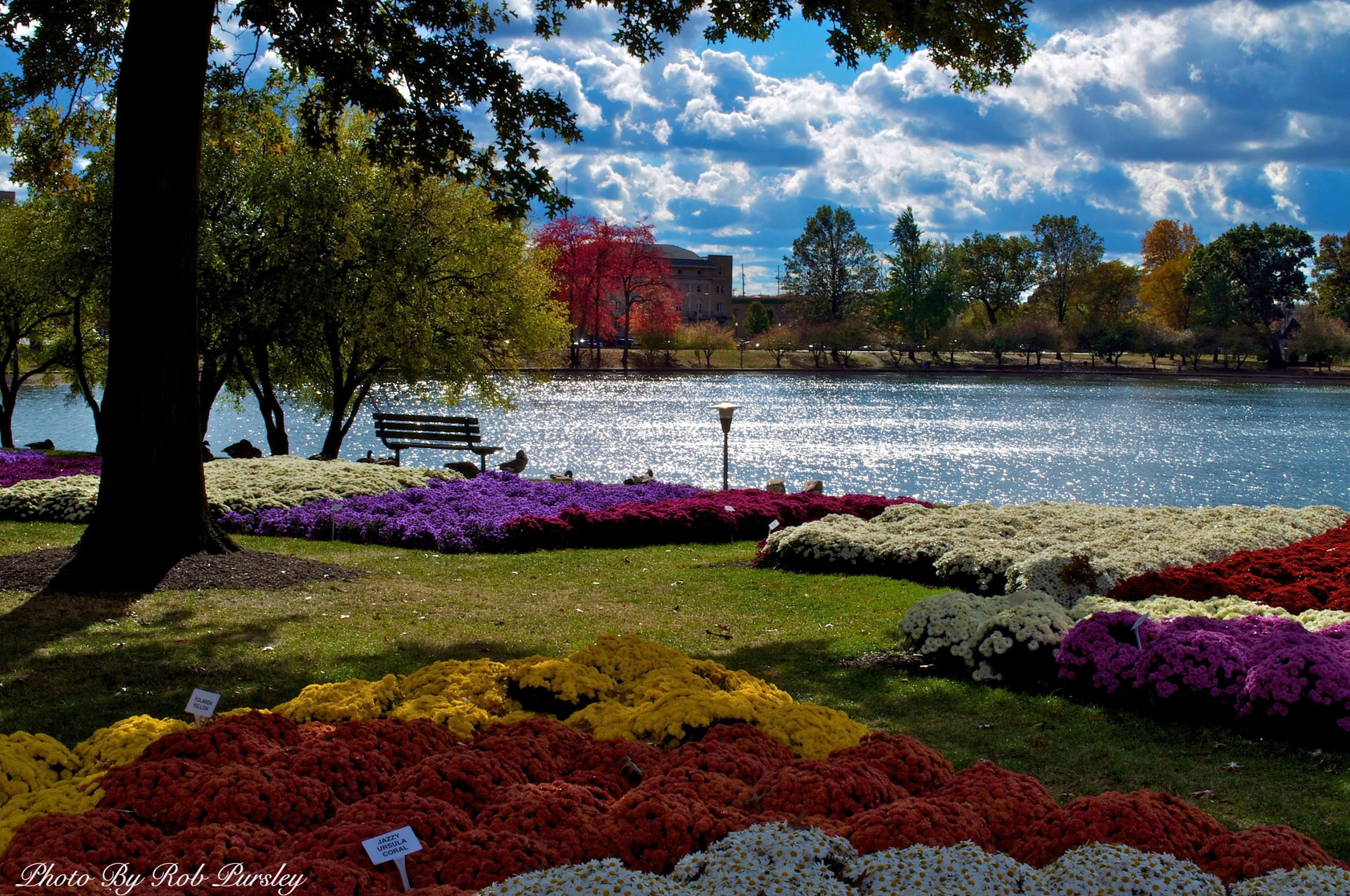Picture of Barberton, Ohio