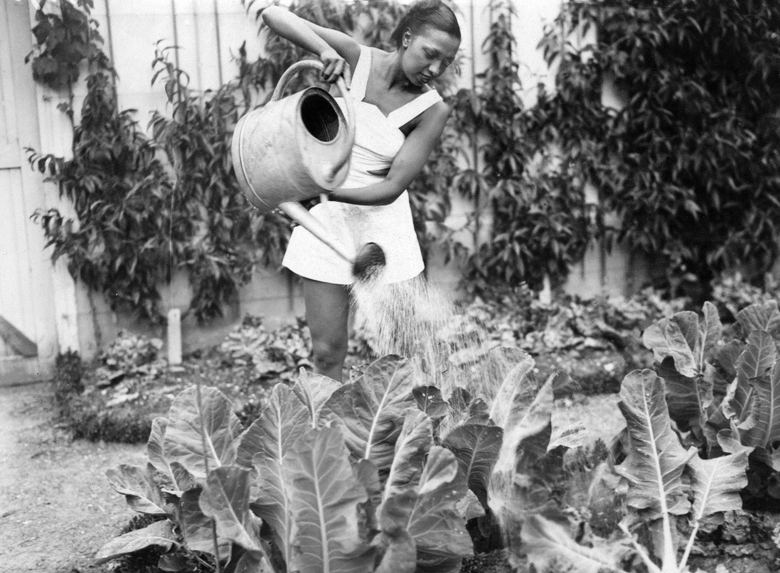 Josephine Baker