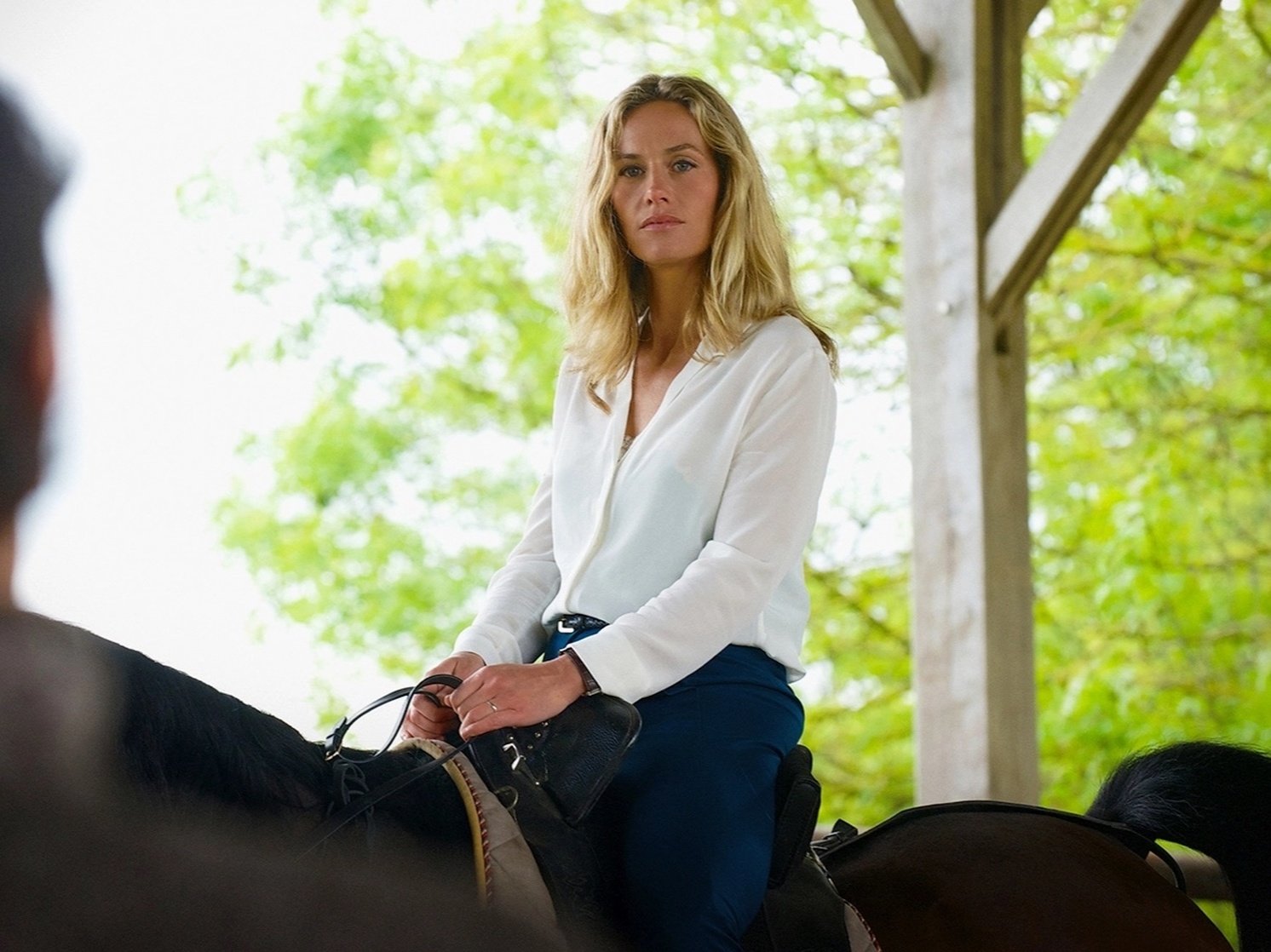 Cécile De France