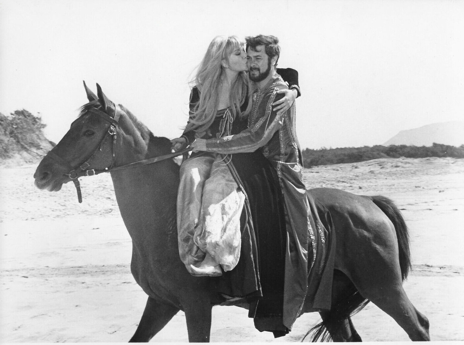 Picture of On My Way to the Crusades, I Met a Girl Who...