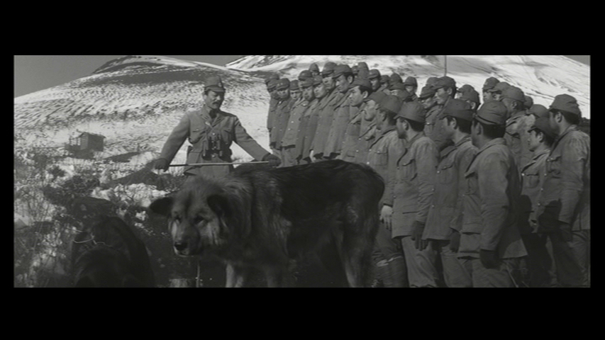 Retreat from Kiska