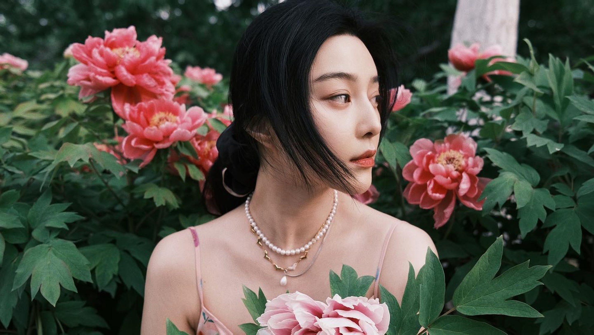 Bingbing Fan Bingbing Fan