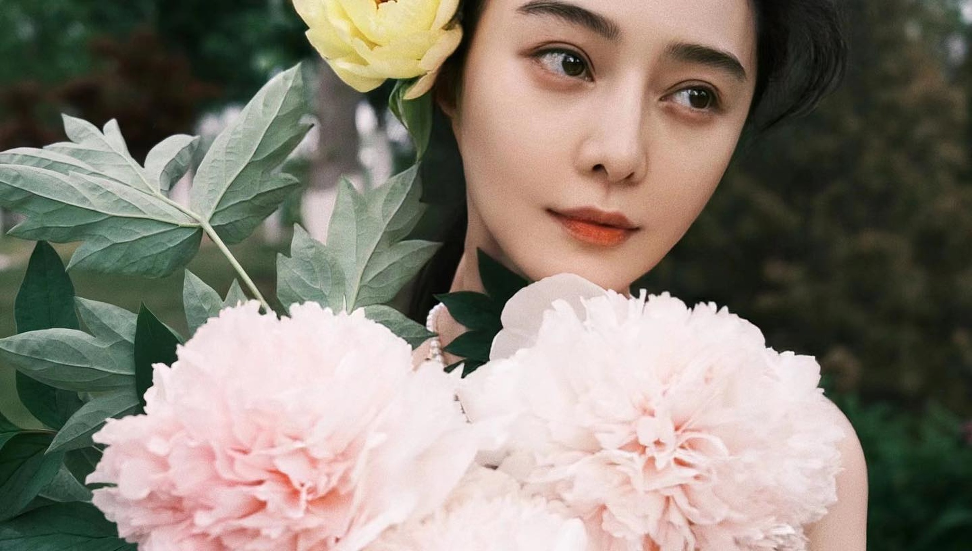 Bingbing Fan Bingbing Fan