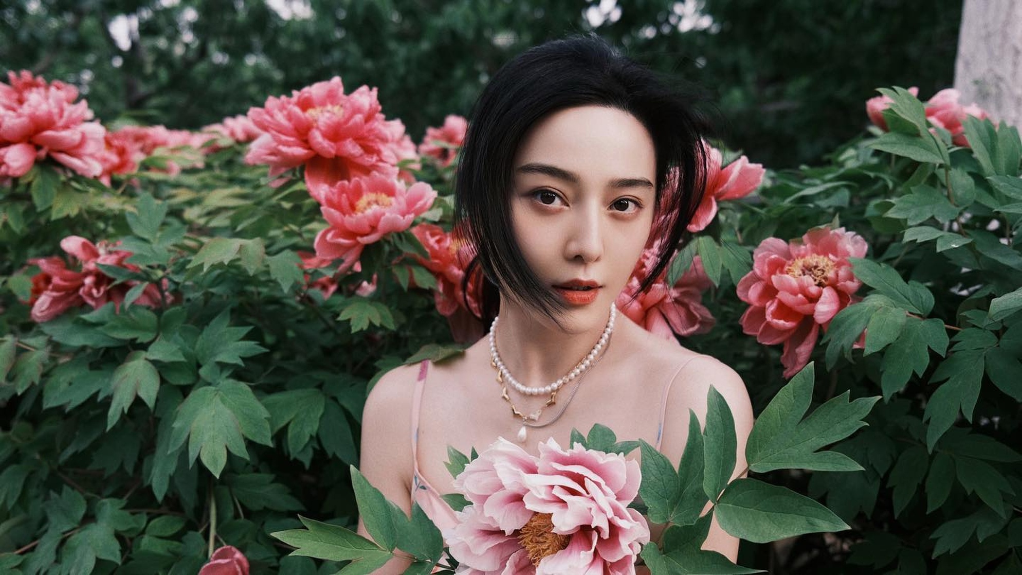 Bingbing Fan Bingbing Fan