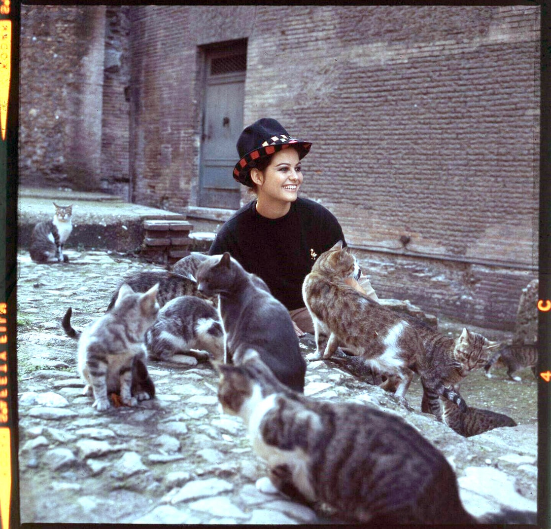 Claudia Cardinale