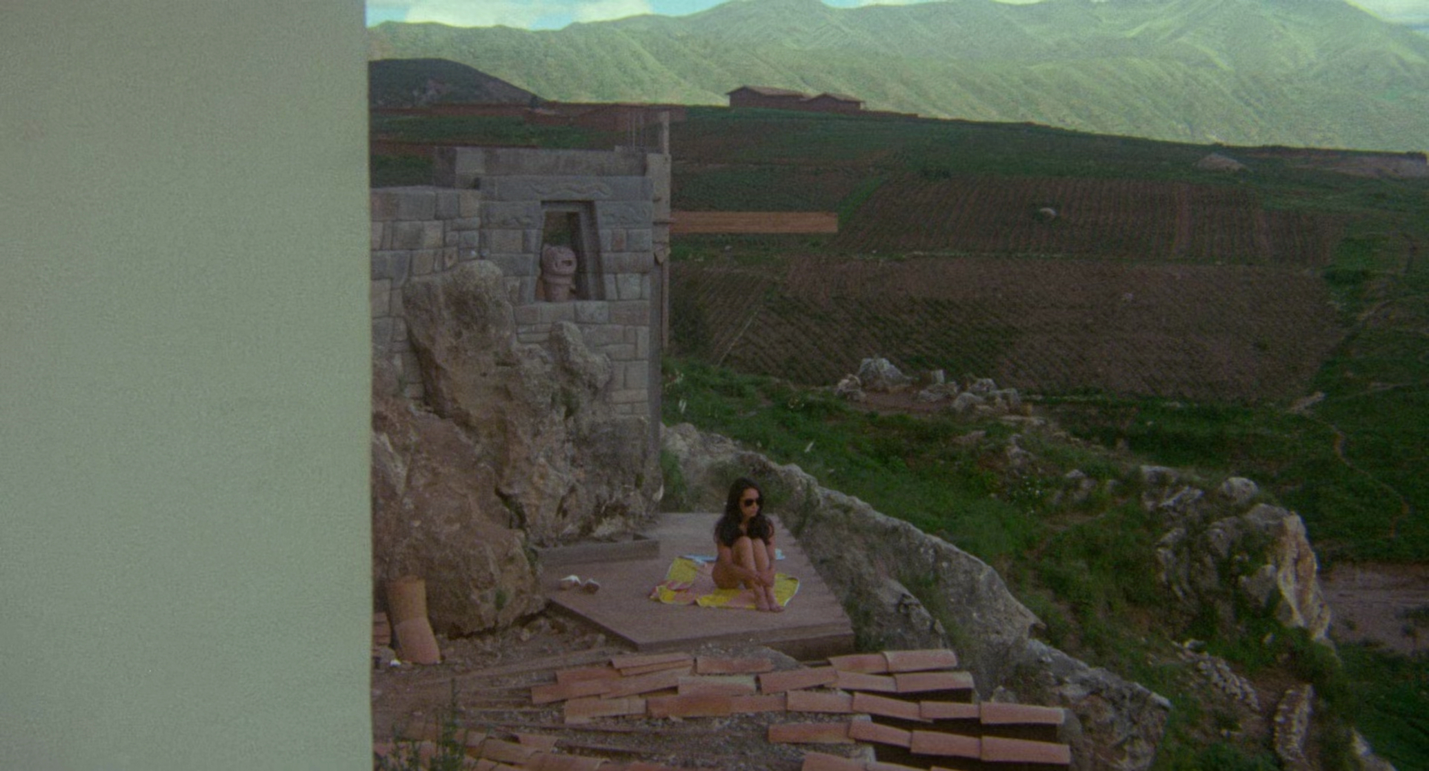 The Last Movie (1971)