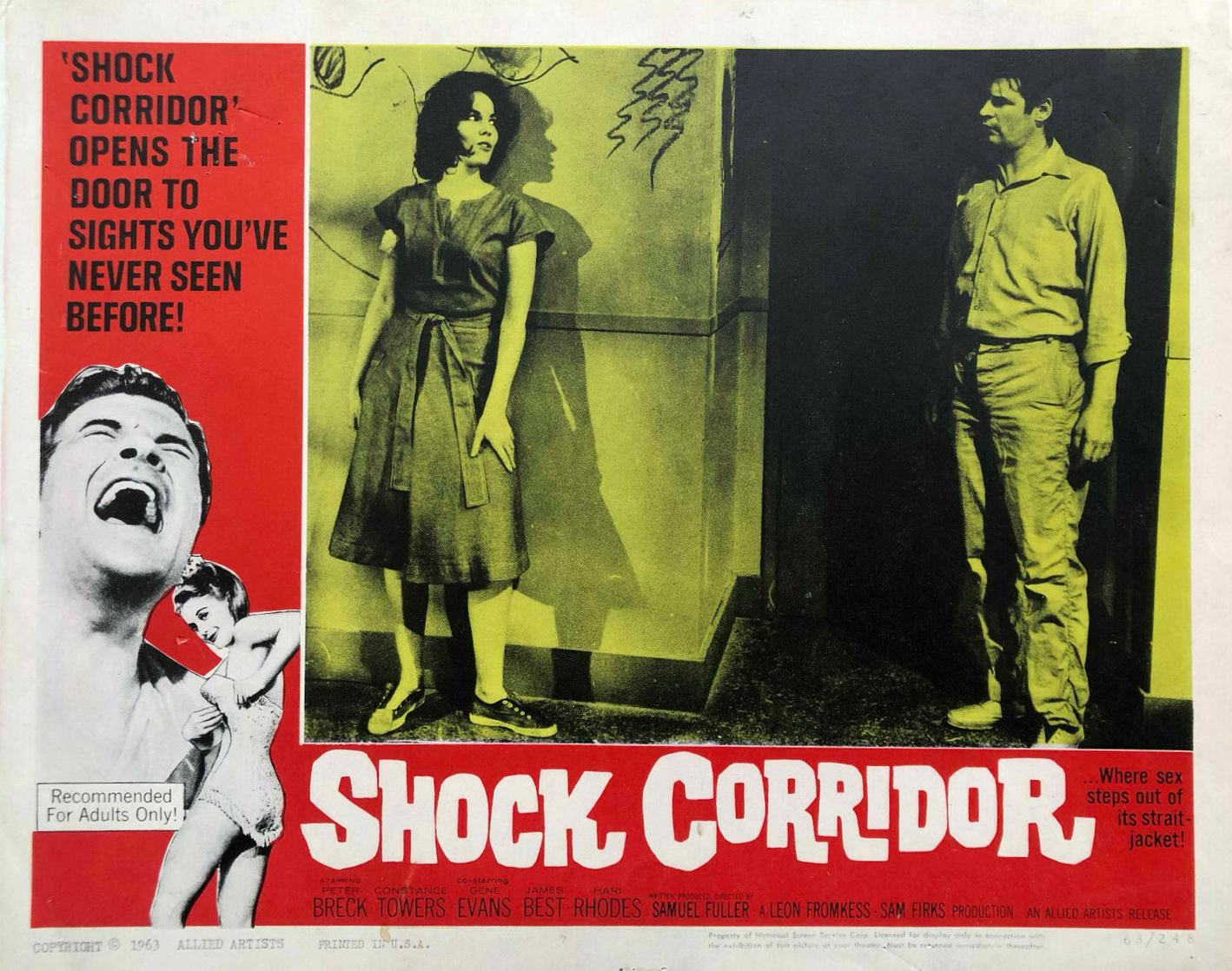 Shock Corridor