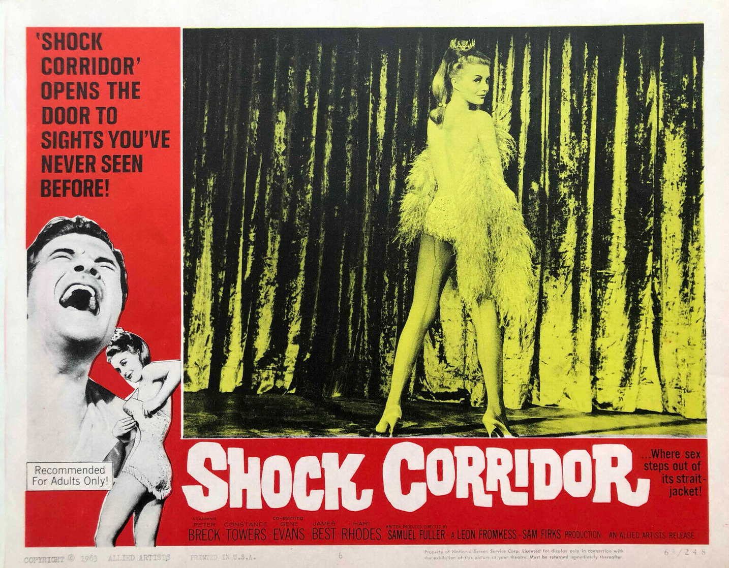 Shock Corridor