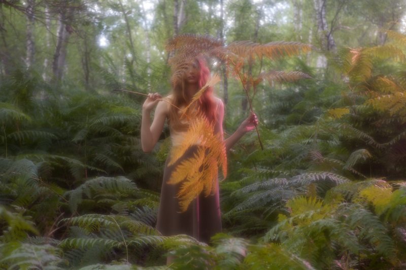 Codie Young