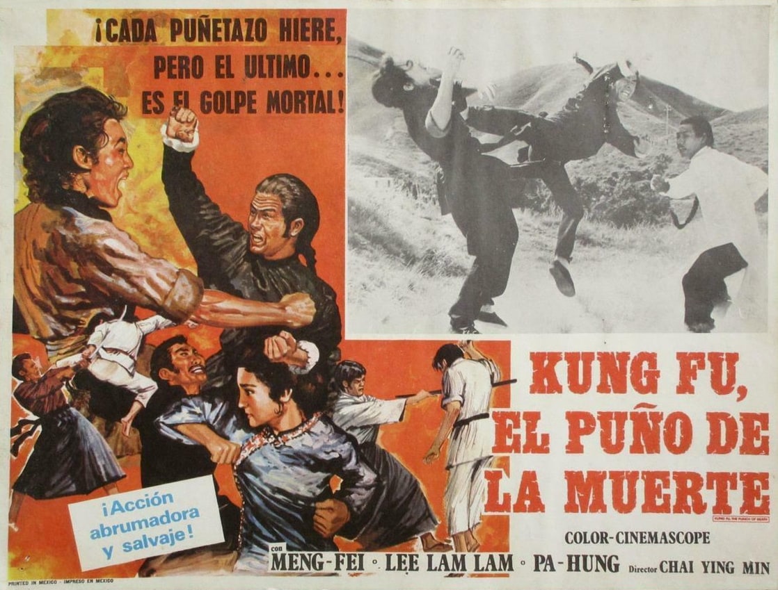 Kung Fu: The Punch of Death (The Prodigal Boxer)