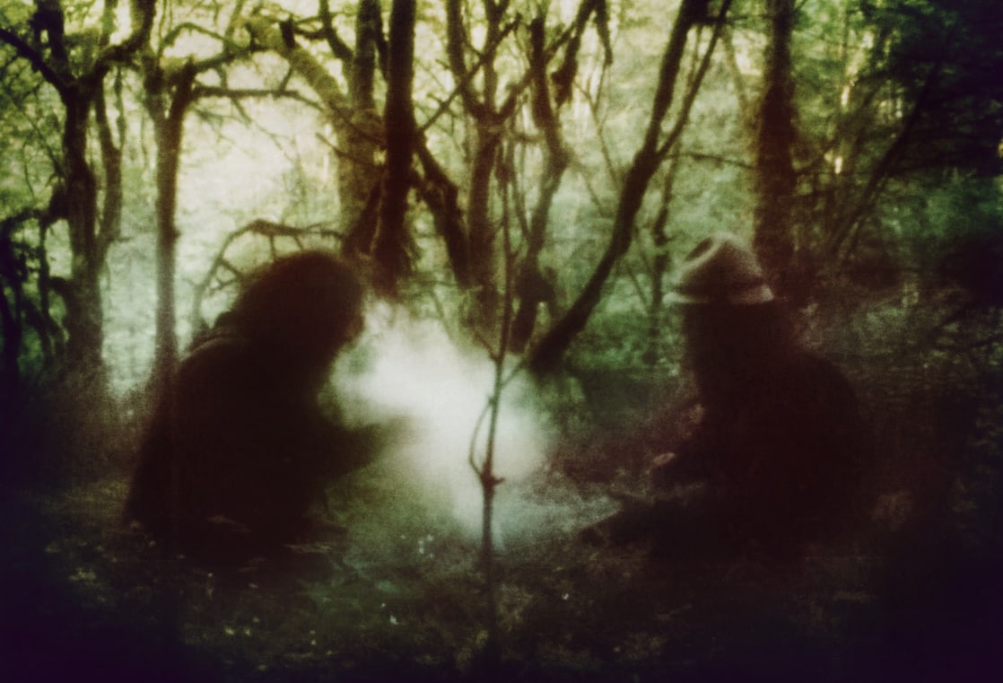 Wolves in the Throne Room