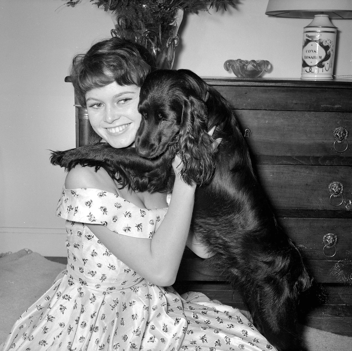 Brigitte Bardot Brigitte Bardot
