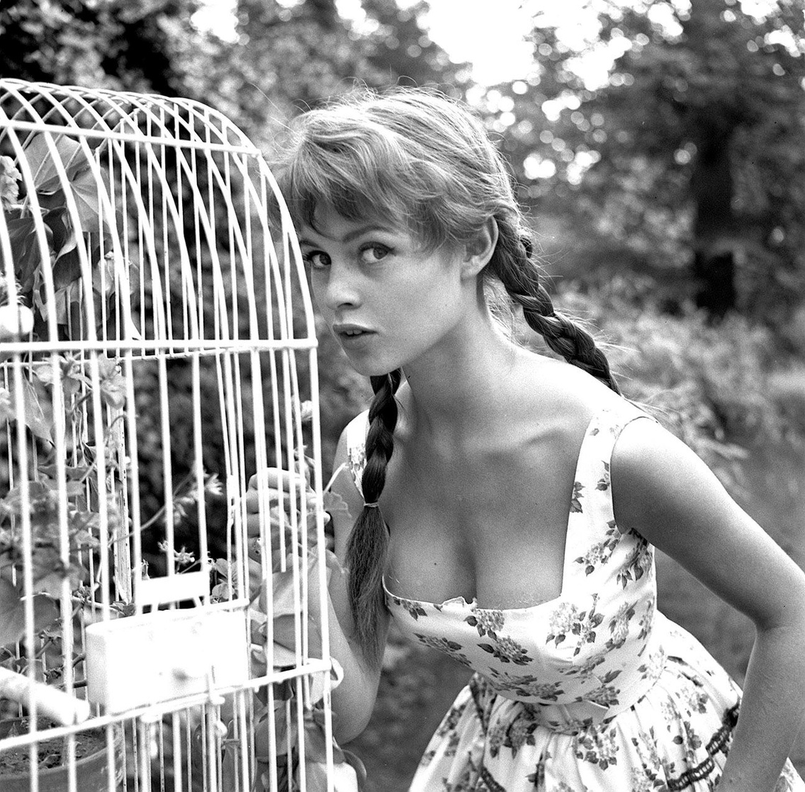 Brigitte Bardot Brigitte Bardot