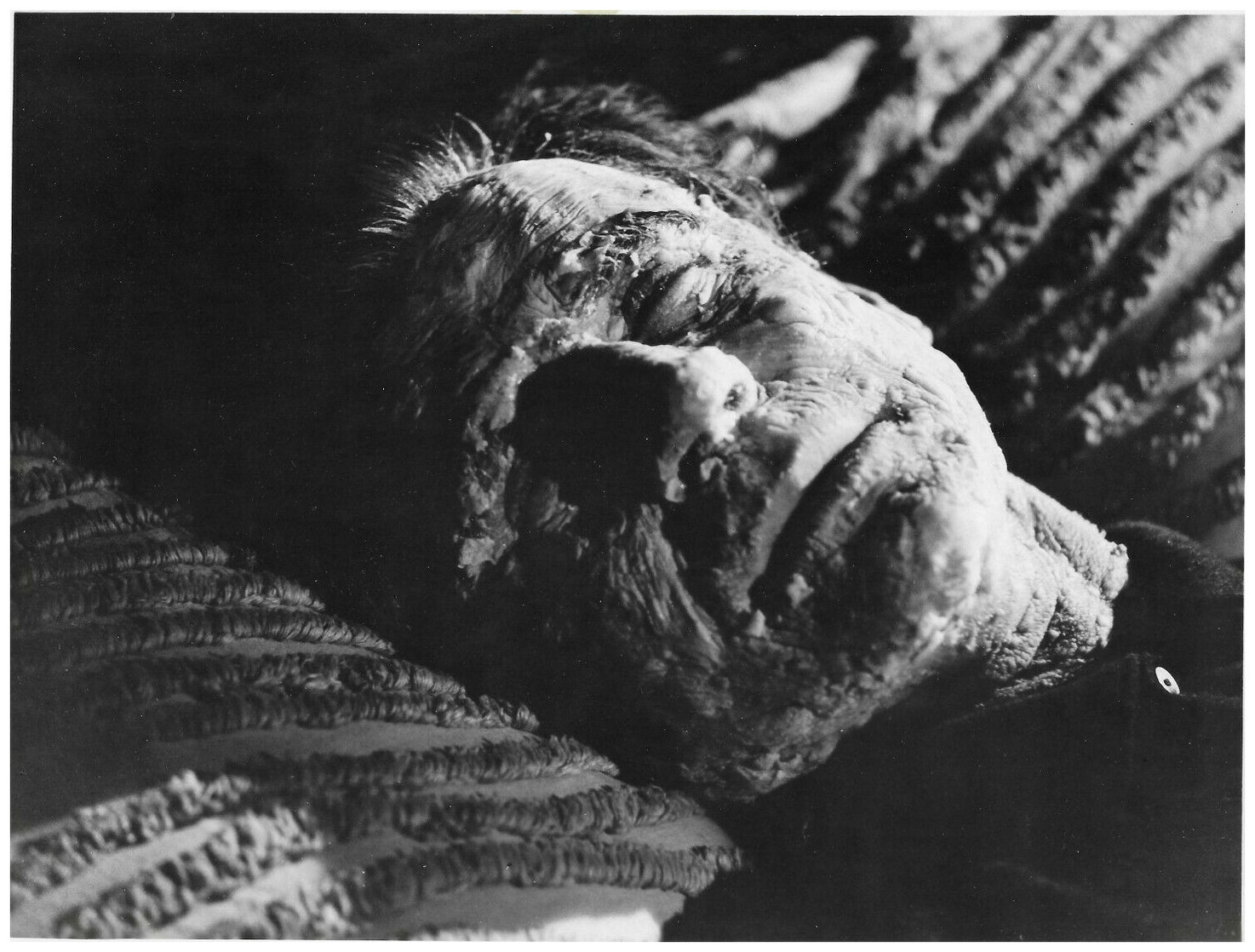 The Curse of the Fly (1965)