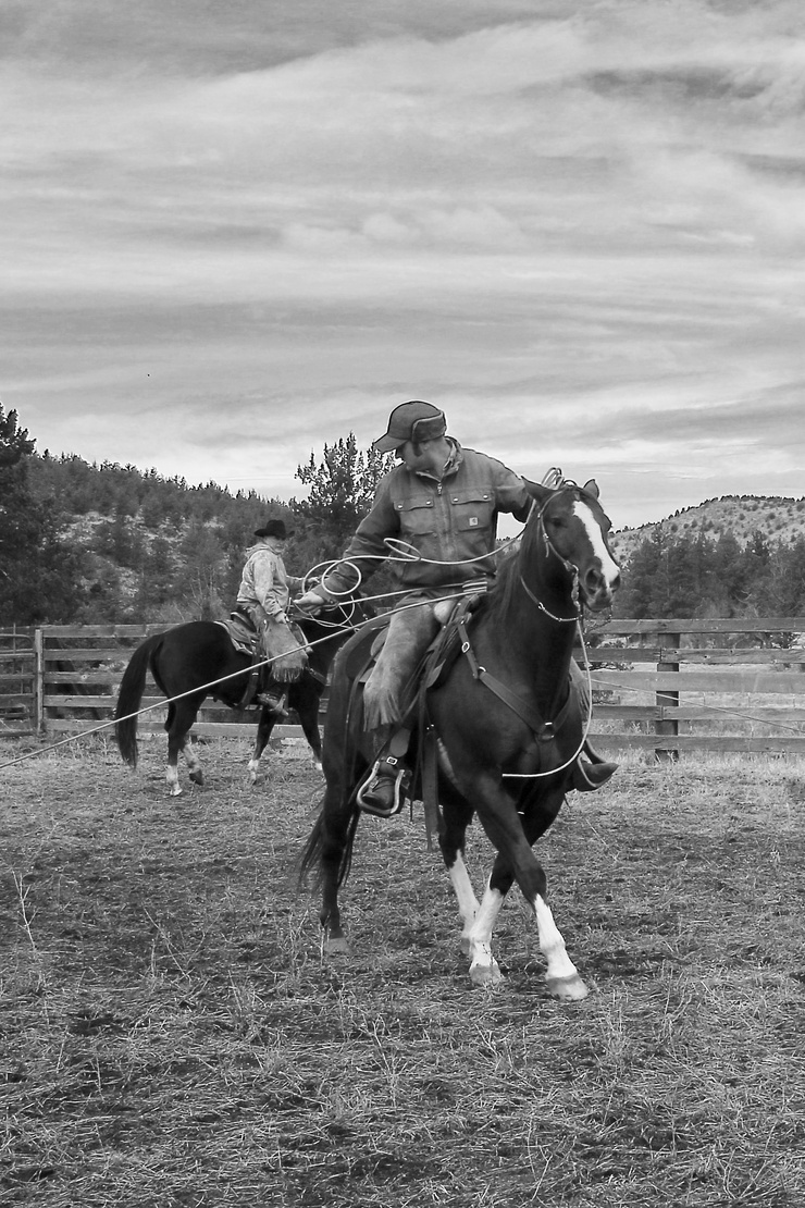Tim at Seldom Seen Ranch Branding