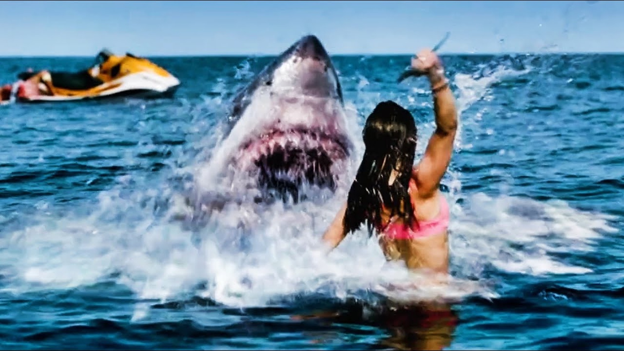 Shark Bait Shark Bait