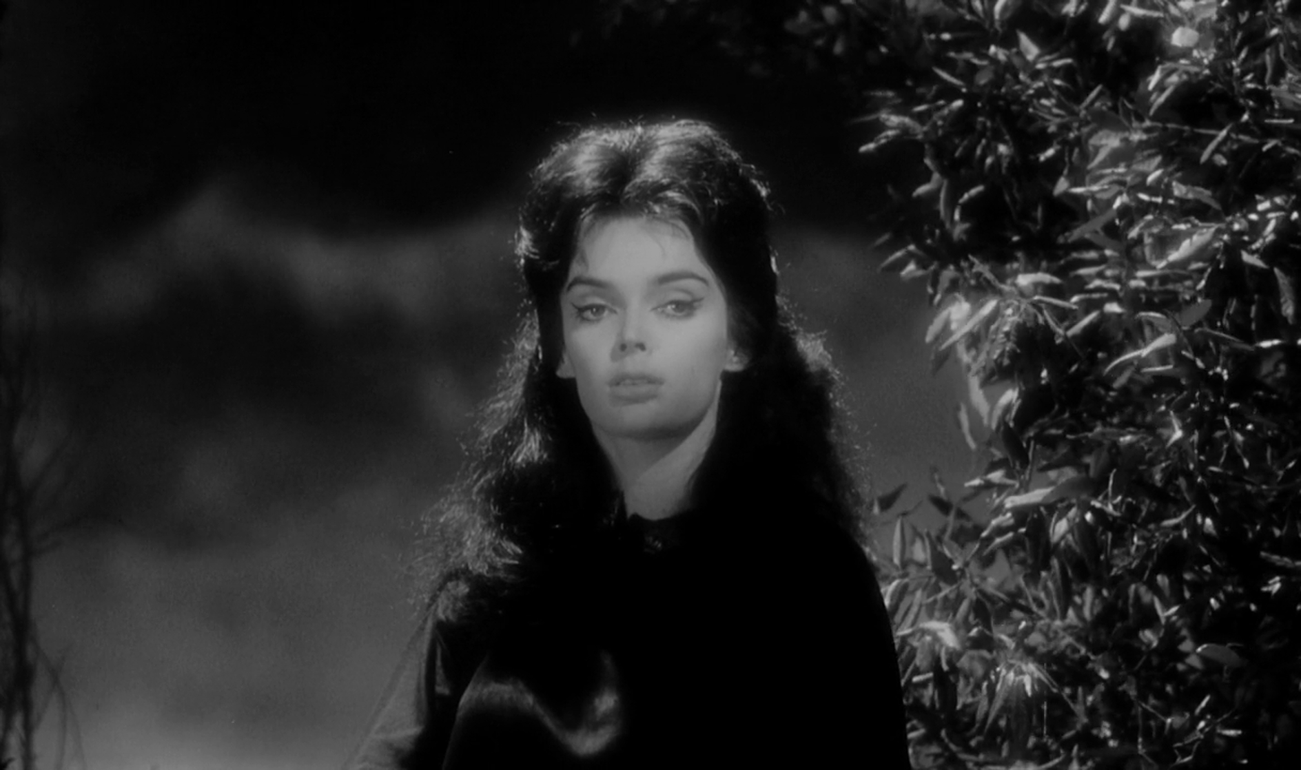 Black Sunday Black Sunday