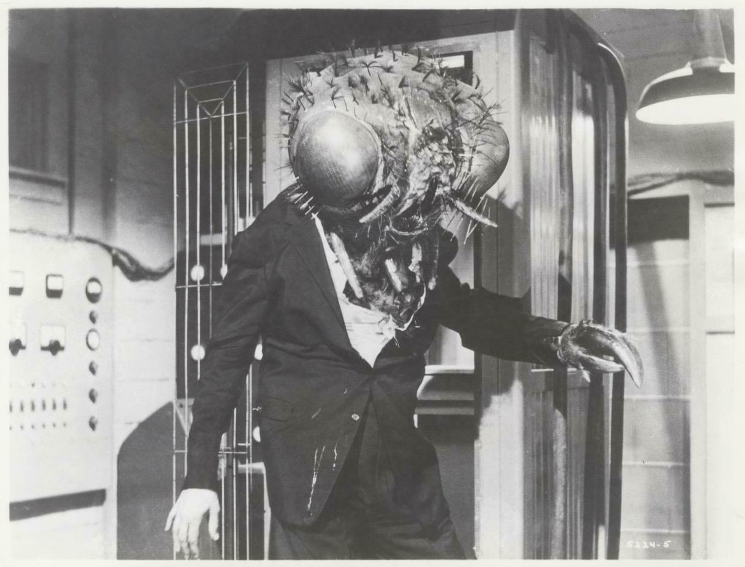 Return of the Fly