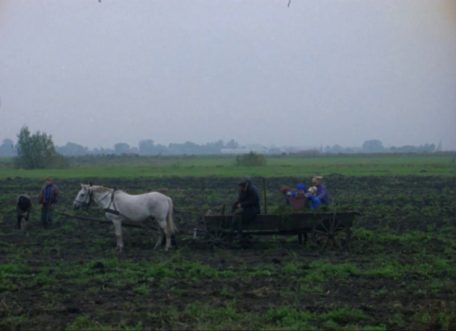 From the East (1993) From the East (1993)