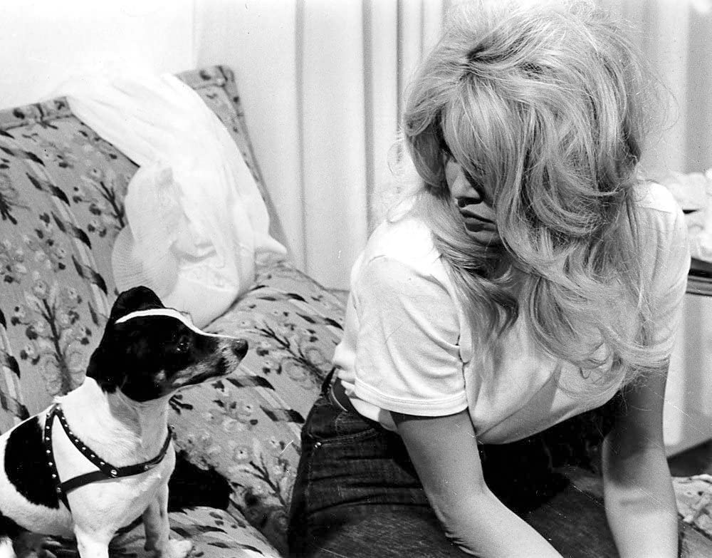 Brigitte Bardot Brigitte Bardot
