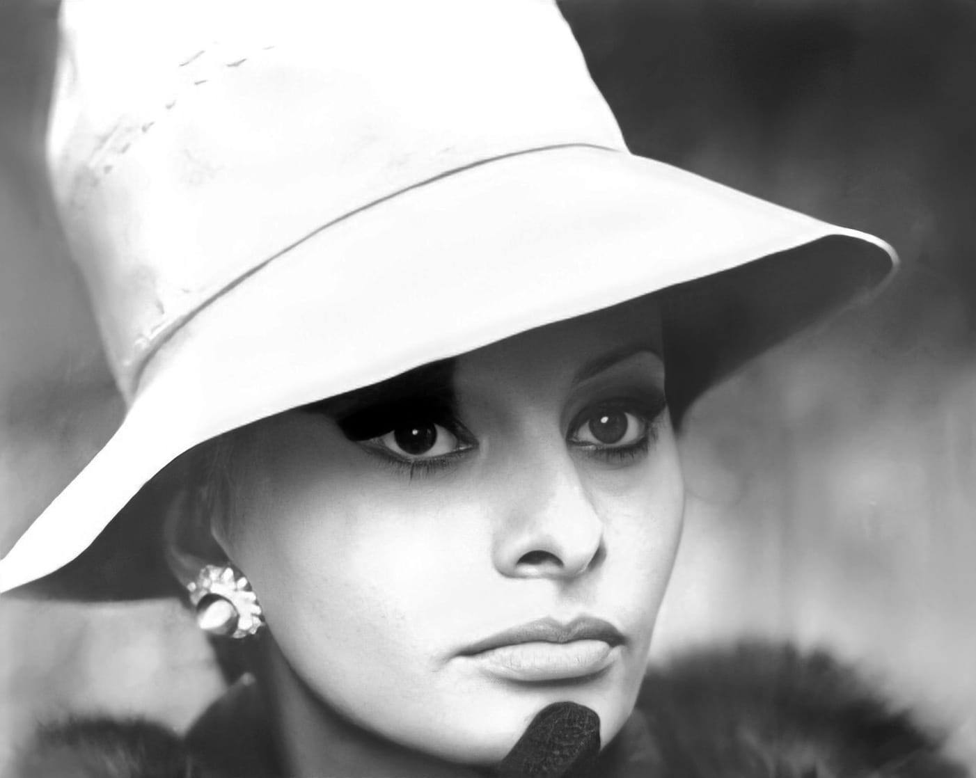 Sophia Loren