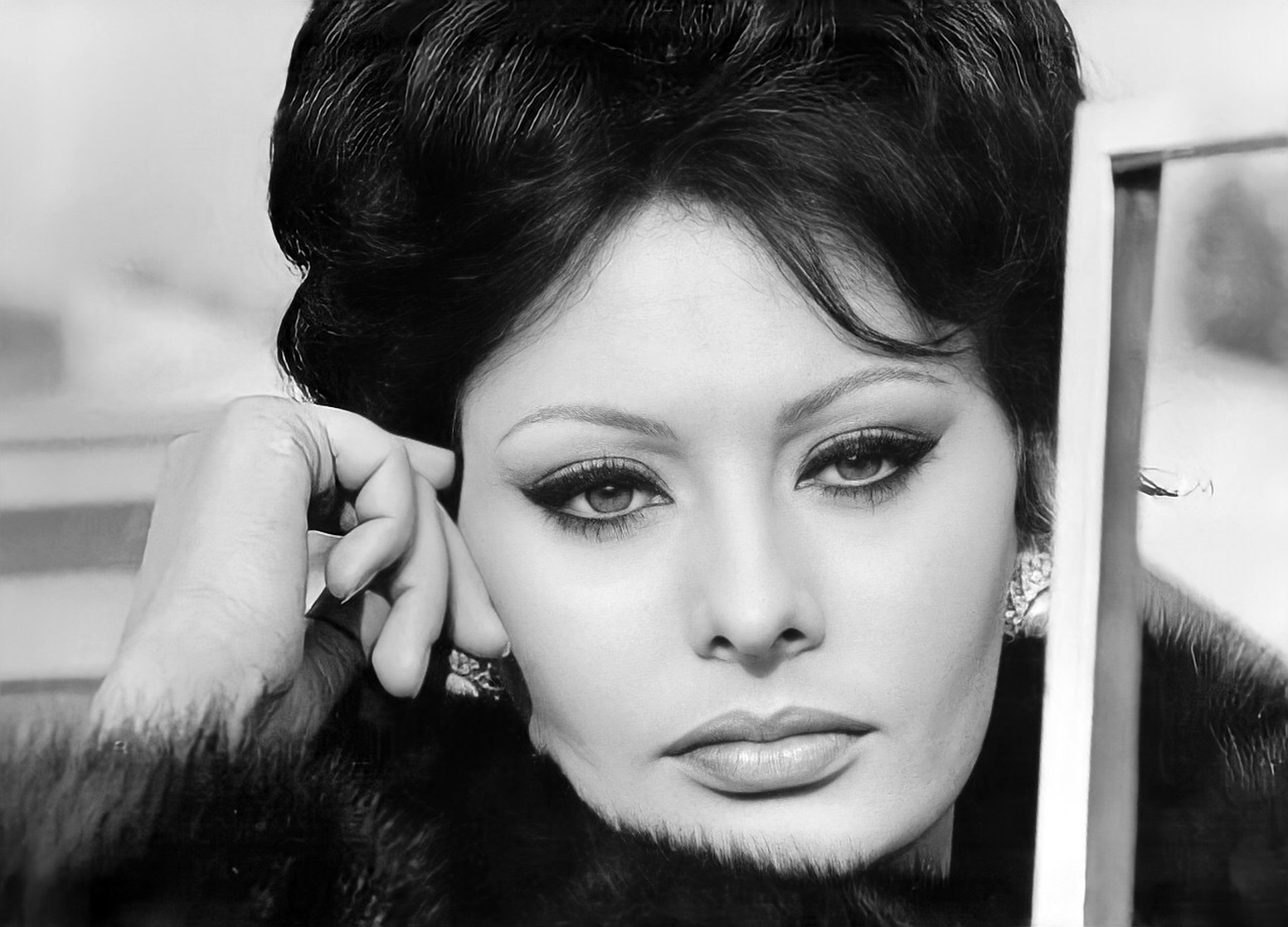 Sophia Loren Sophia Loren