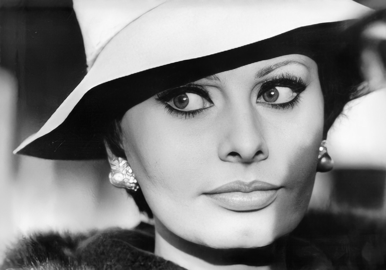 Sophia Loren