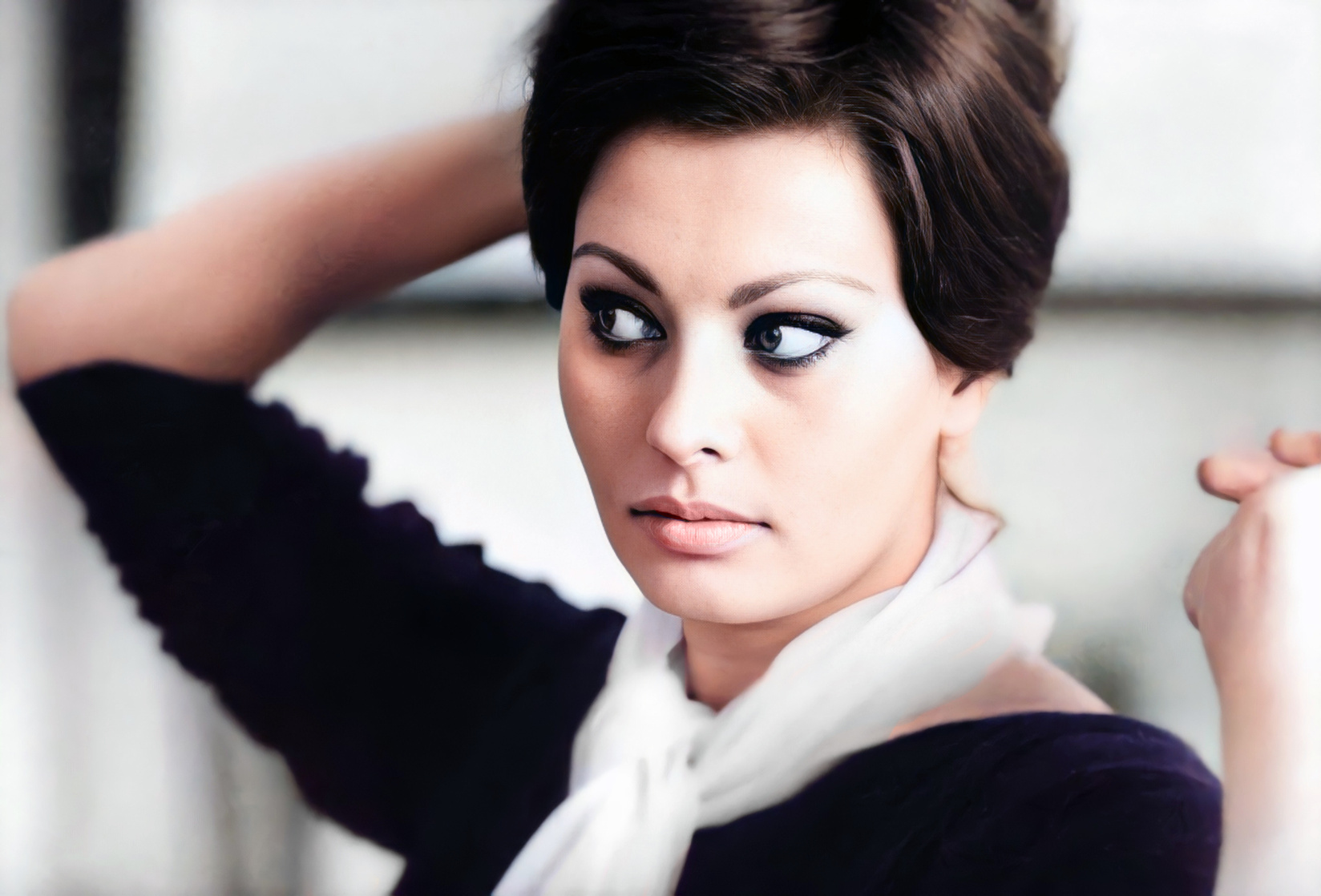 Sophia Loren