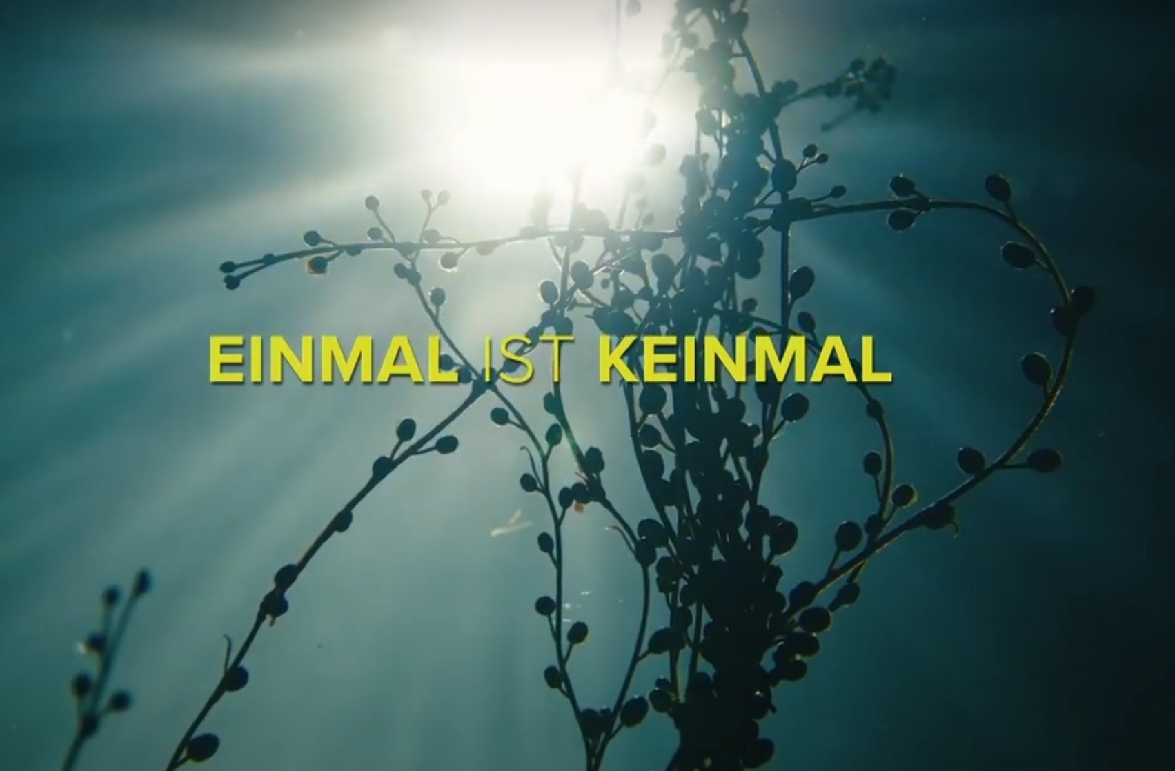 Einmal ist Keinmal Einmal ist Keinmal