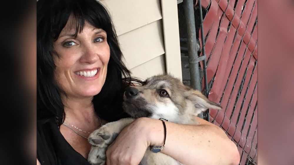 Meredith Brooks